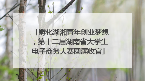 孵化湖湘青年创业梦想，第十二届湖南省大学生电子商务大赛圆满收官