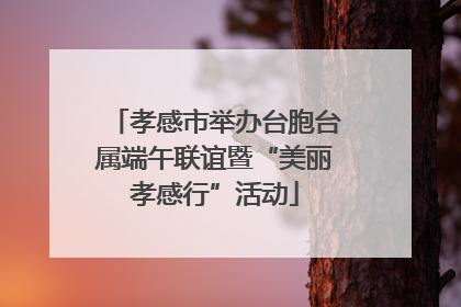 孝感市举办台胞台属端午联谊暨“美丽孝感行”活动