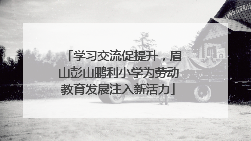 学习交流促提升，眉山彭山鹏利小学为劳动教育发展注入新活力