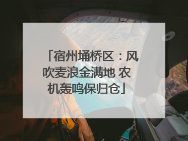宿州埇桥区：风吹麦浪金满地 农机轰鸣保归仓