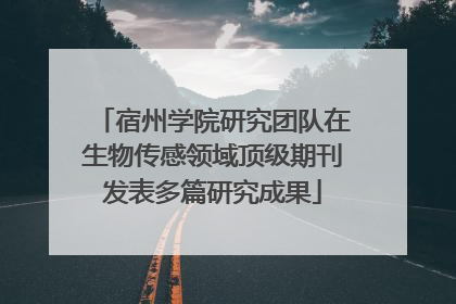 宿州学院研究团队在生物传感领域顶级期刊发表多篇研究成果