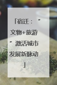 宿迁：“文物+旅游”激活城市发展新脉动