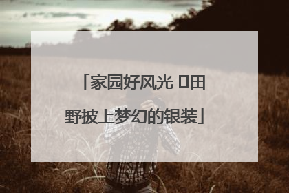 家园好风光 ⎮田野披上梦幻的银装