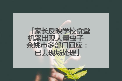 家长反映学校食堂机器出现大量虫子 余姚市多部门回应：已去现场处理