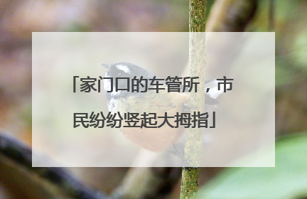 家门口的车管所，市民纷纷竖起大拇指