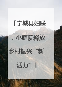 宁城县妇联：小庭院释放乡村振兴“新活力”