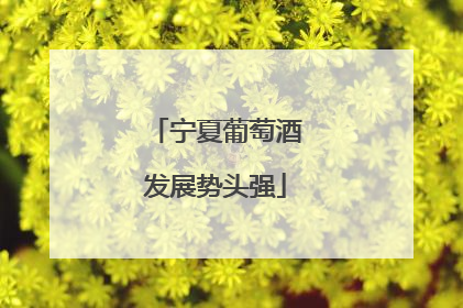 宁夏葡萄酒发展势头强