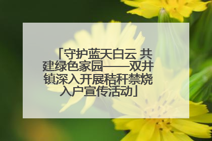 守护蓝天白云 共建绿色家园——双井镇深入开展秸秆禁烧入户宣传活动