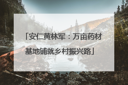 安仁黄林军：万亩药材基地铺就乡村振兴路
