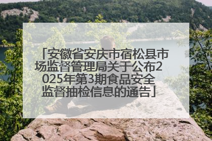 安徽省安庆市宿松县市场监督管理局关于公布2025年第3期食品安全监督抽检信息的通告