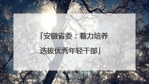 安徽省委：着力培养选拔优秀年轻干部