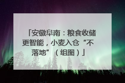 安徽阜南：粮食收储更智能，小麦入仓“不落地”（组图）