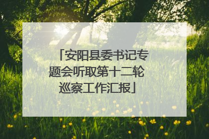 安阳县委书记专题会听取第十二轮巡察工作汇报