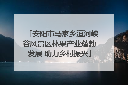 安阳市马家乡洹河峡谷风景区林果产业蓬勃发展 助力乡村振兴