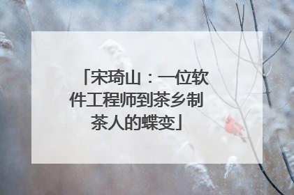 宋琦山：一位软件工程师到茶乡制茶人的蝶变
