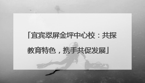 宜宾翠屏金坪中心校：共探教育特色，携手共促发展