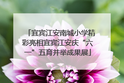 宜宾江安南城小学精彩亮相宜宾江安庆“六一”五育并举成果展