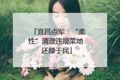 宜昌点军：“柔性”清理违规菜地 还绿于民