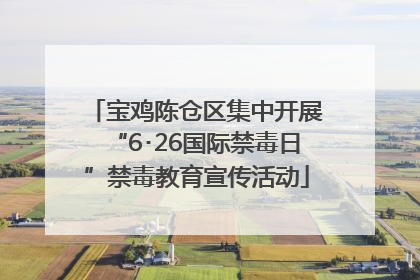宝鸡陈仓区集中开展“6･26国际禁毒日”禁毒教育宣传活动