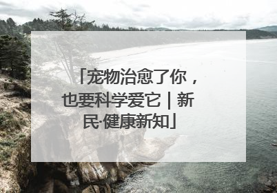 宠物治愈了你，也要科学爱它｜新民·健康新知