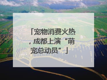 宠物消费火热，成都上演“萌宠总动员”