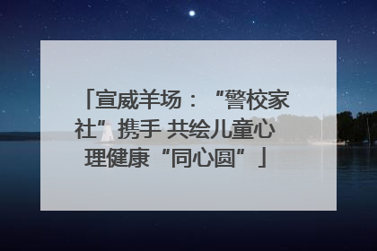 宣威羊场：“警校家社”携手 共绘儿童心理健康“同心圆”