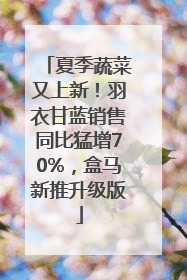 夏季蔬菜又上新！羽衣甘蓝销售同比猛增70%，盒马新推升级版
