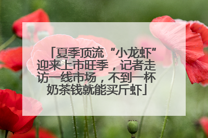 夏季顶流“小龙虾”迎来上市旺季，记者走访一线市场，不到一杯奶茶钱就能买斤虾