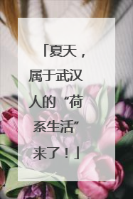 夏天，属于武汉人的“荷系生活”来了！