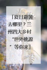 夏日避暑去哪里？兰州四大乡村“世外桃源”等你来