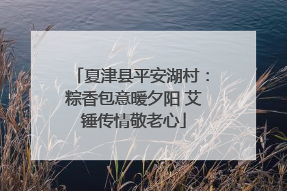 夏津县平安湖村：粽香包意暖夕阳 艾锤传情敬老心