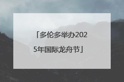 多伦多举办2025年国际龙舟节