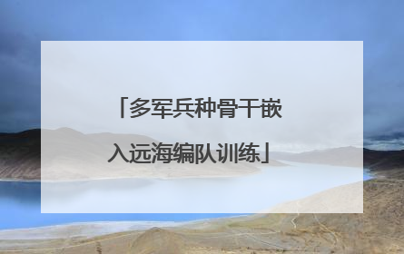 多军兵种骨干嵌入远海编队训练