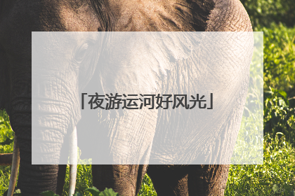夜游运河好风光