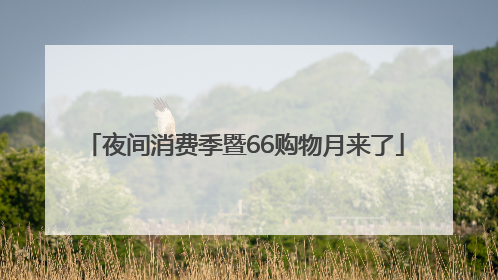 夜间消费季暨66购物月来了