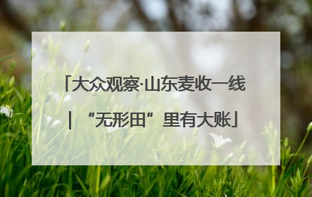 大众观察·山东麦收一线｜“无形田”里有大账