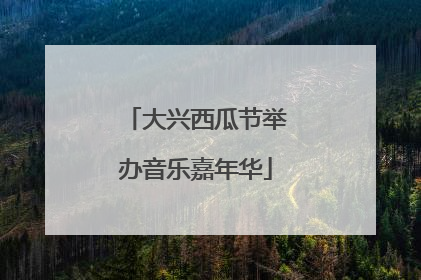 大兴西瓜节举办音乐嘉年华