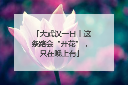 大武汉一日丨这条路会“开花”，只在晚上有
