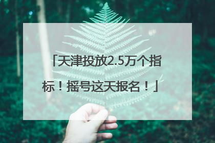 天津投放2.5万个指标！摇号这天报名！