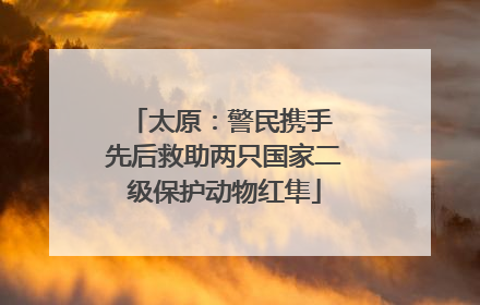 太原：警民携手 先后救助两只国家二级保护动物红隼