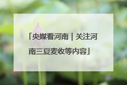 央媒看河南｜关注河南三夏麦收等内容
