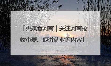 央媒看河南｜关注河南抢收小麦、促进就业等内容