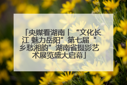 央媒看湖南丨“文化长江 魅力岳阳”第七届“乡愁湘韵”湖南省摄影艺术展览盛大启幕