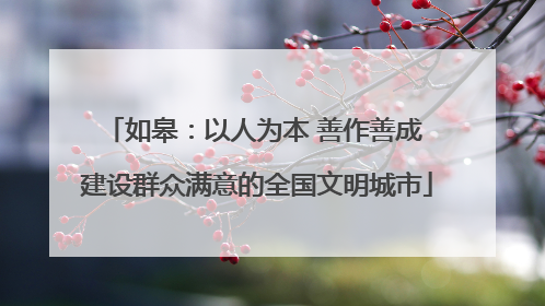 如皋：以人为本 善作善成 建设群众满意的全国文明城市