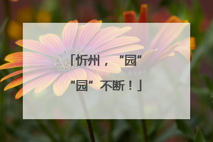 忻州，“园”“园”不断！