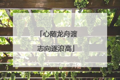 心随龙舟渡 志向逐浪高