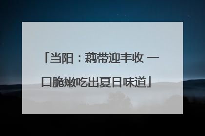 当阳：藕带迎丰收 一口脆嫩吃出夏日味道