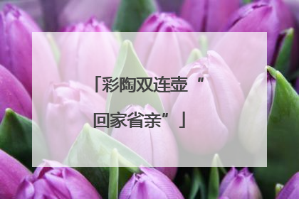 彩陶双连壶“回家省亲”