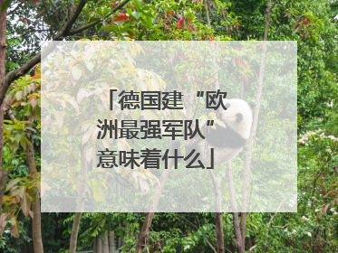 德国建“欧洲最强军队”意味着什么