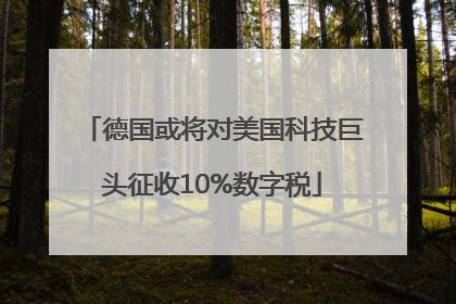 德国或将对美国科技巨头征收10%数字税